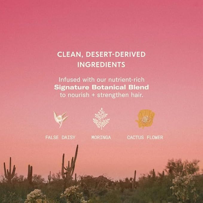 DAE Hair Wanderluster Travel Duo