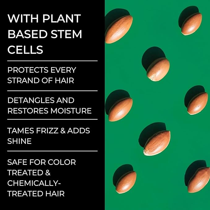 dandRX Anti Dandruff Stem-Cell Shampoo and Conditioner with 2% Pyrithione Zinc, Physician Founded for Itchy Scalp,Eliminates Flakes & Fights Dandruff,Color Safe,Sulfate Free,Paraben Free