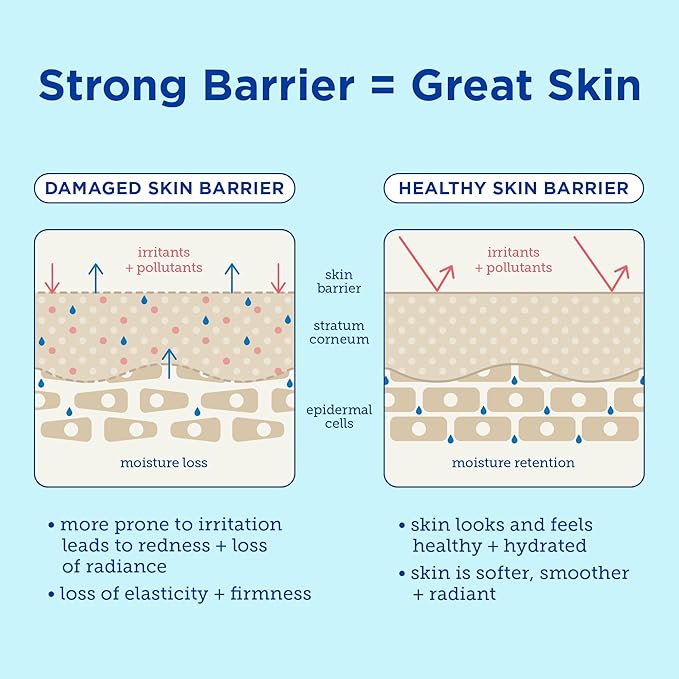 Skinfix Lipid-Boost Body Cream - 10 oz - Glow-Boosting, Hydrating All-Over Body Moisturizer - Non-Greasy, Fast Absorbing - Fragrance Free - Vegan, Cruelty Free