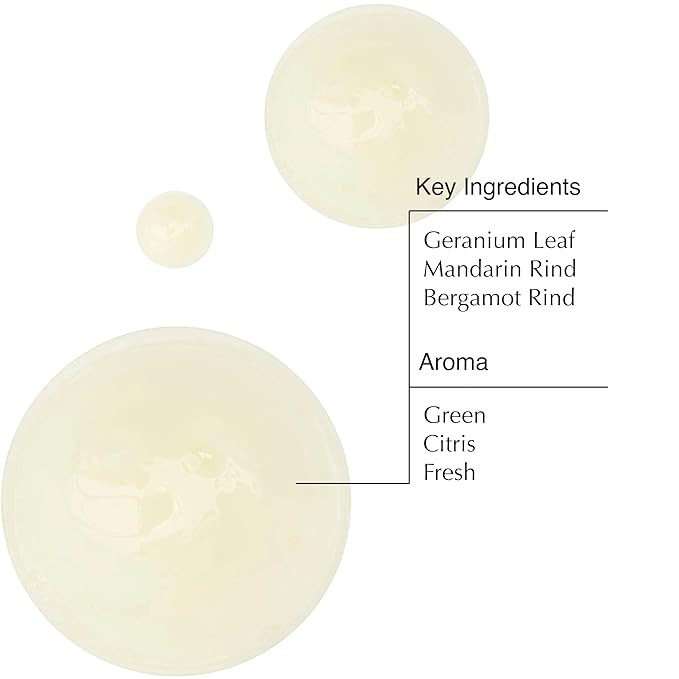 Aesop Geranium Leaf Body Cleanser | Non-drying Gentle Cleanser | Geranium Leaf, Mandarin Rind, Bergamot Rind | 16.9 oz / 500mL (Pack of 3)