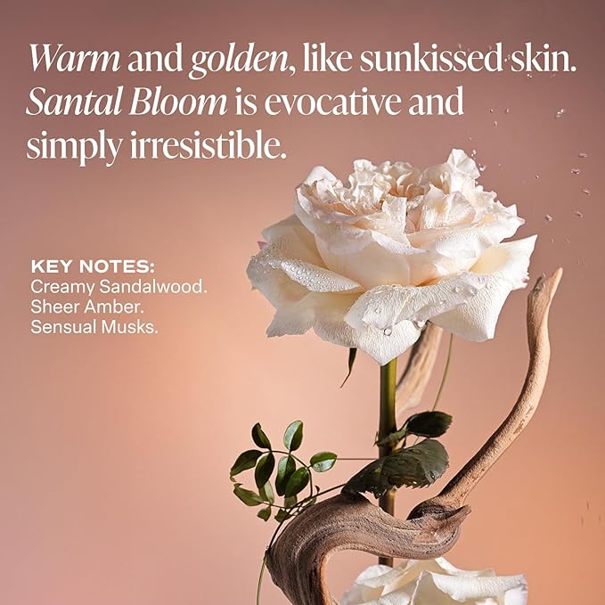 Saltair Multi-Lipid Body Butter - Rich, Nourishing Santal Bloom Hydrating Body Cream with Ceramide Complex, Coconut Oil, Shea Butter, and Sea Buckthorn. Deep Moisturizing Dry Skin Care. 10oz Jar