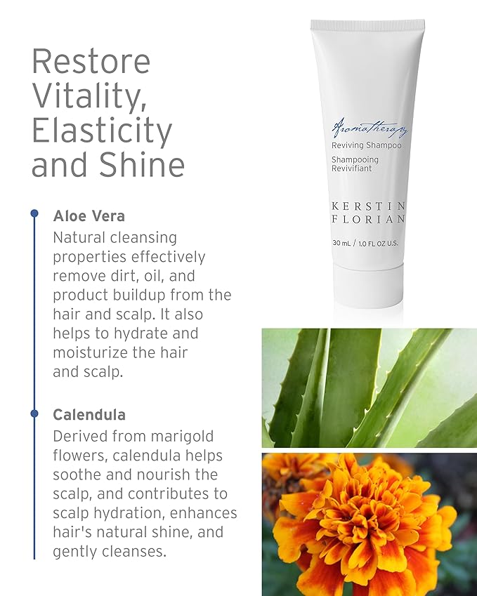 Kerstin Florian Reviving Shampoo | Travel Size | Natural Formula with Aloe Vera | Moisturizing & Strenghtening Shampoo for All Hair Types | Sulfate Free | 1 fl oz