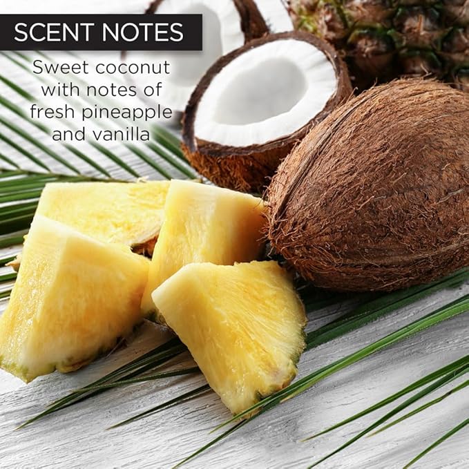 Whish Beauty Body Butter for Women - Moisturizing Body Lotion for Dry Skin - Antioxidant-Rich with Shea Butter, Aloe, & Raspberry Butter - Paraben & Sulfate Free - Coconut - 5 fl oz