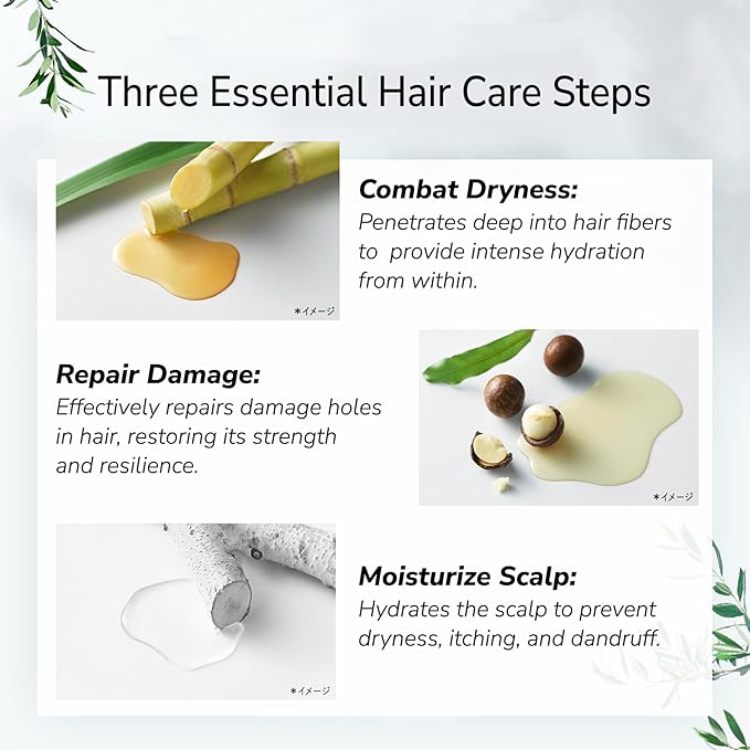 Botanist Organic Body Wash & Shampoo Set, Natural Shower Gel For Women Dry Skin, Sulfate Free Shampoo for Oily Hair with Natural Keratin & Honey from Japan, Silicone & Paraben Free 32.0 Fl Oz