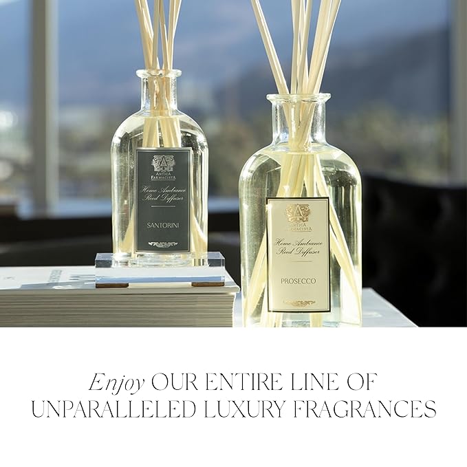 Antica Farmacista Hand Wash -Desert Sage, 10 Fl Oz (Pack of 1)